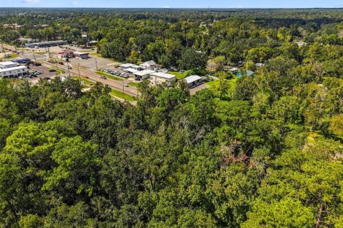 Land in Brooksville, Florida № 2393885 - photo 6