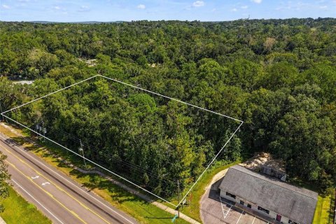Land in Brooksville, Florida № 2393885 - photo 3