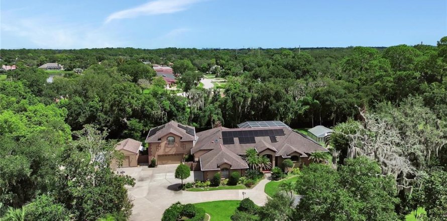 House in Port Orange, Florida 5 bedrooms, 368.82 sq.m. № 2297032