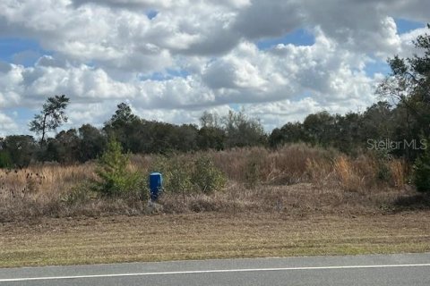 Land in Ocala, Florida № 2109132 - photo 2