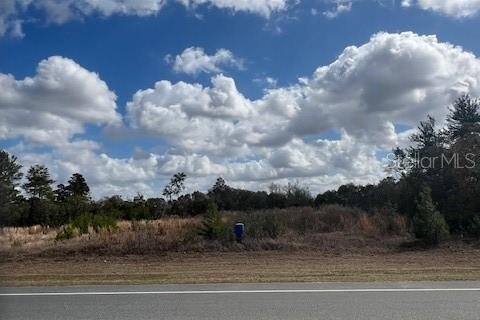 Land in Ocala, Florida № 2109132 - photo 3