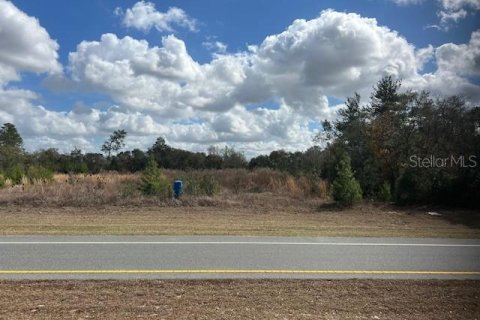 Terrain à Ocala, Floride № 2109132