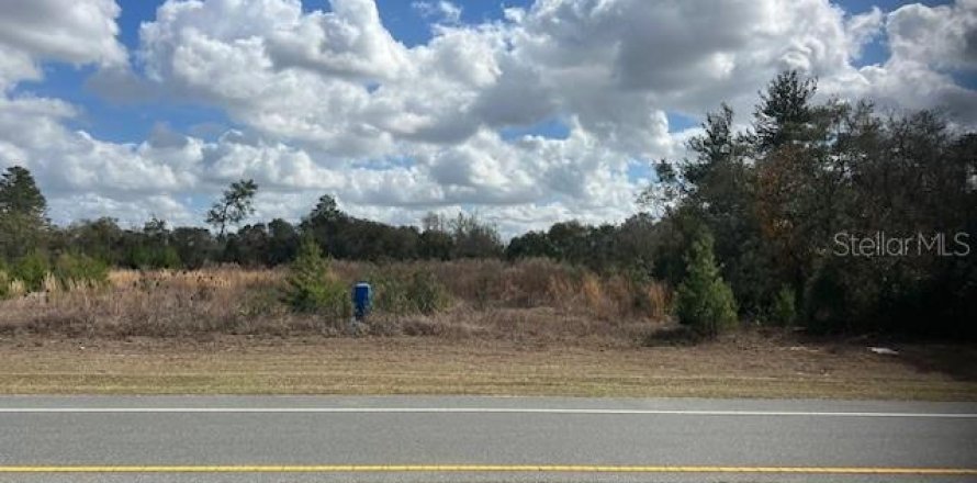 Land in Ocala, Florida № 2109132