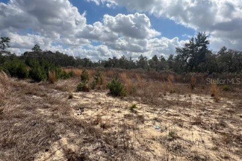 Land in Ocala, Florida № 2109132 - photo 4