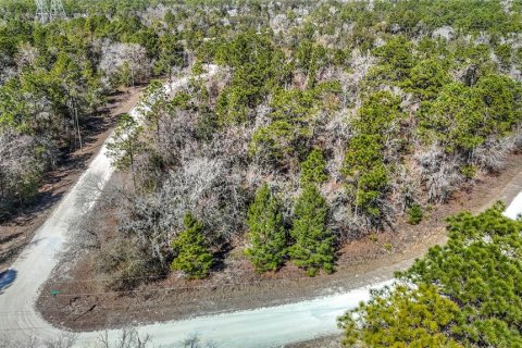Terreno en venta en Weeki Wachee, Florida № 2145249 - foto 10