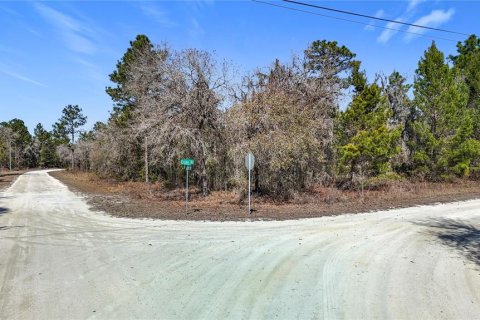 Terreno en venta en Weeki Wachee, Florida № 2145249 - foto 5