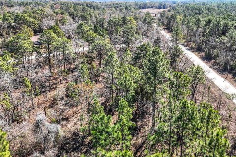 Terreno en venta en Weeki Wachee, Florida № 2145249 - foto 15