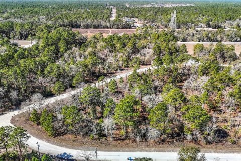 Terreno en venta en Weeki Wachee, Florida № 2145249 - foto 13
