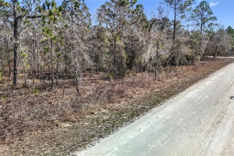 Terreno en venta en Weeki Wachee, Florida № 2145249 - foto 4