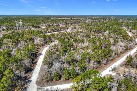 Terreno en venta en Weeki Wachee, Florida № 2145249 - foto 12