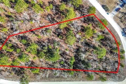 Terreno en Weeki Wachee, Florida № 2145249