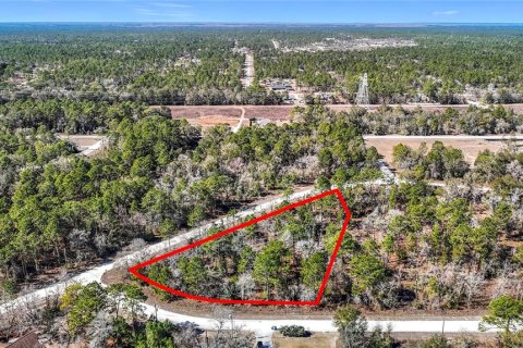 Terreno en venta en Weeki Wachee, Florida № 2145249 - foto 2