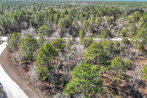 Terreno en venta en Weeki Wachee, Florida № 2145249 - foto 9