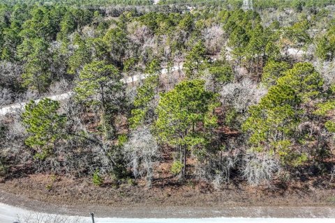 Terreno en venta en Weeki Wachee, Florida № 2145249 - foto 11