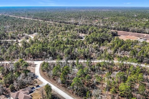 Terreno en venta en Weeki Wachee, Florida № 2145249 - foto 19