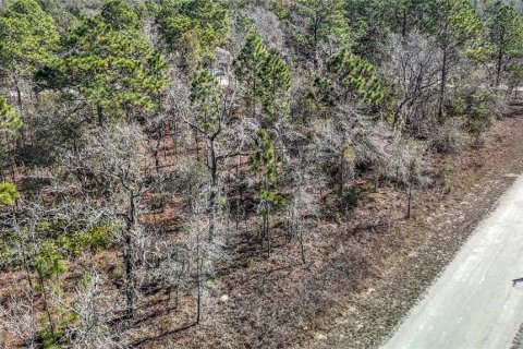 Terreno en venta en Weeki Wachee, Florida № 2145249 - foto 3