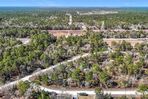 Terreno en venta en Weeki Wachee, Florida № 2145249 - foto 20