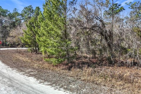 Terreno en venta en Weeki Wachee, Florida № 2145249 - foto 7
