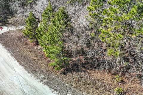 Terreno en venta en Weeki Wachee, Florida № 2145249 - foto 8