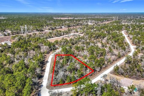 Terreno en venta en Weeki Wachee, Florida № 2145249 - foto 23