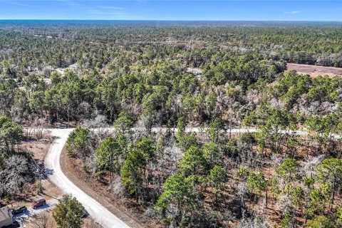 Terreno en venta en Weeki Wachee, Florida № 2145249 - foto 18