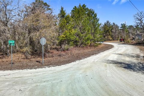 Terreno en venta en Weeki Wachee, Florida № 2145249 - foto 6