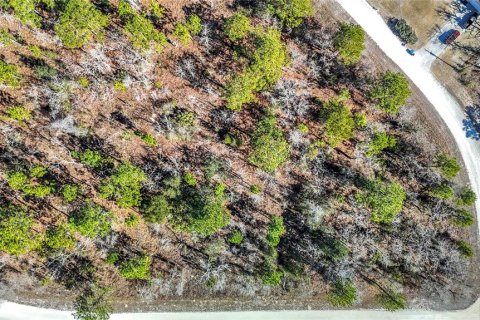 Terreno en venta en Weeki Wachee, Florida № 2145249 - foto 17