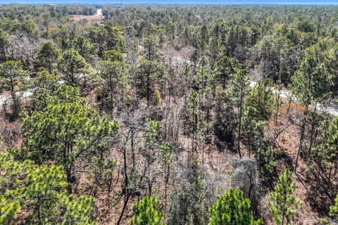 Terreno en venta en Weeki Wachee, Florida № 2145249 - foto 14
