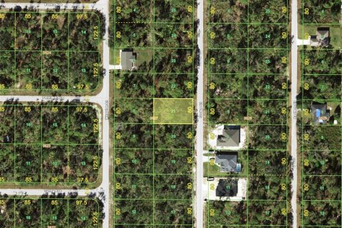 Land in Port Charlotte, Florida № 2165820