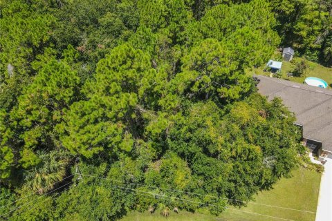 Land in Palm Coast, Florida № 2113983