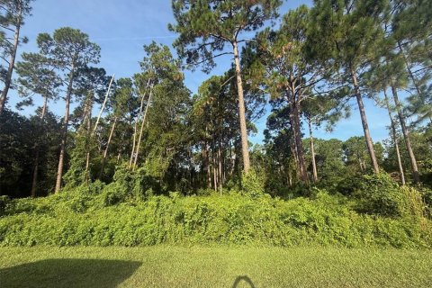 Terrain à vendre à DeBary, Floride № 1913551 - photo 1