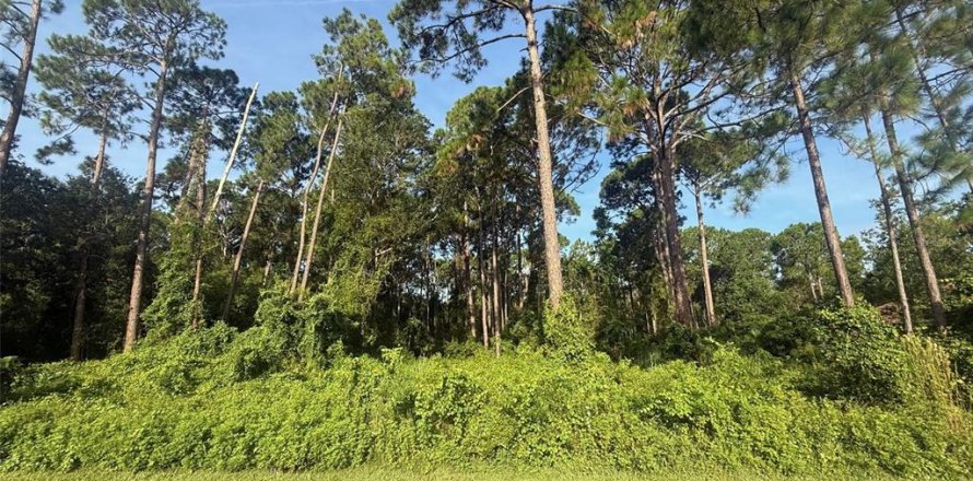 Terrain à DeBary, Floride № 1913551
