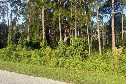 Terrain à vendre à DeBary, Floride № 1913551 - photo 2