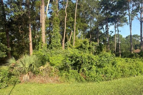 Terrain à vendre à DeBary, Floride № 1913551 - photo 3