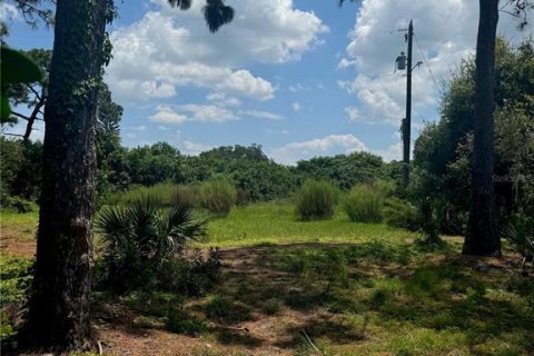 Land in Seminole, Florida № 1898493 - photo 1