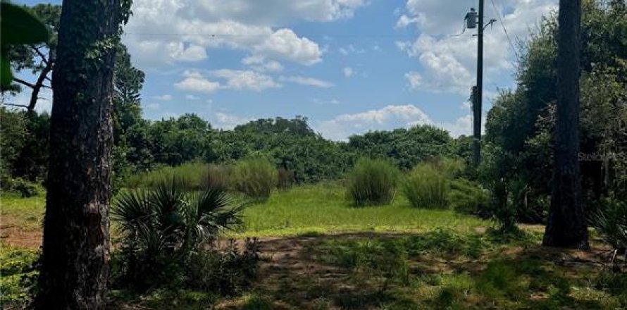 Land in Seminole, Florida № 1898493