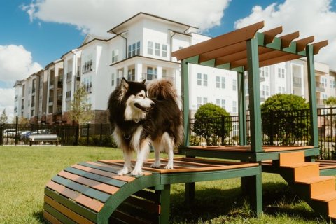 Снять в аренду квартиру в Киссимми, Флорида 5 комнат, 72м2, № 2225846 - фото 25