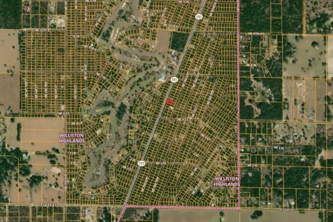 Terrain à vendre à Williston, Floride № 2159019 - photo 4
