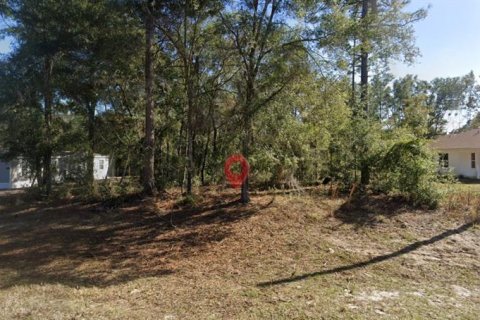 Terrain à Williston, Floride № 2159019