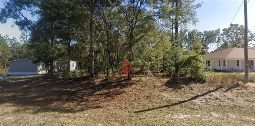 Terrain à Williston, Floride № 2159019