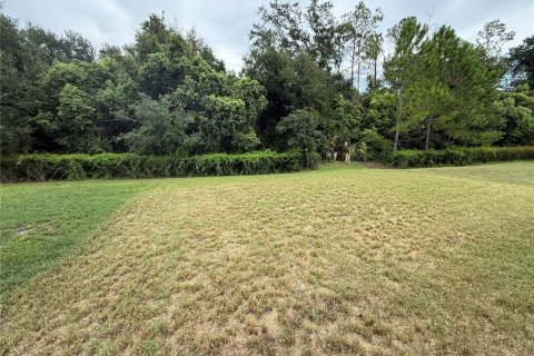 House in Parrish, Florida 5 bedrooms, 242.57 sq.m. № 2403706 - photo 28