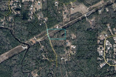 Land in Middleburg, Florida № 2379505 - photo 2