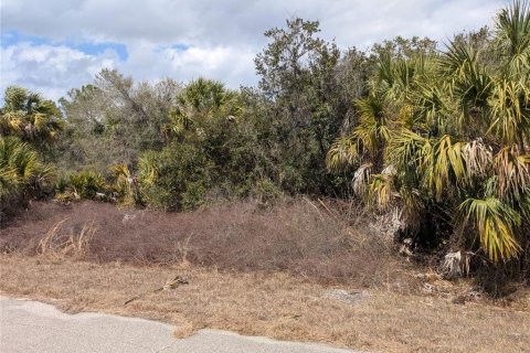 Land in North Port, Florida № 2217272 - photo 8