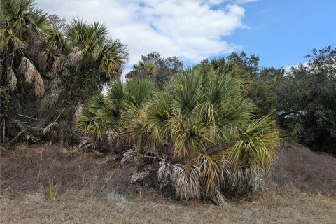Land in North Port, Florida № 2217272 - photo 2
