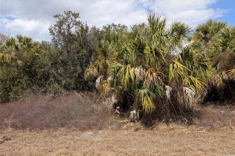 Land in North Port, Florida № 2217272 - photo 7