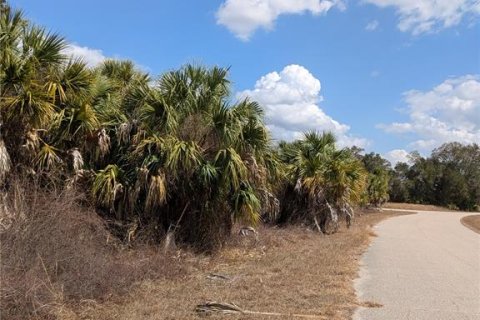 Land in North Port, Florida № 2217272 - photo 4