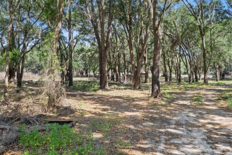 Terreno en venta en Brooksville, Florida № 1642204 - foto 6