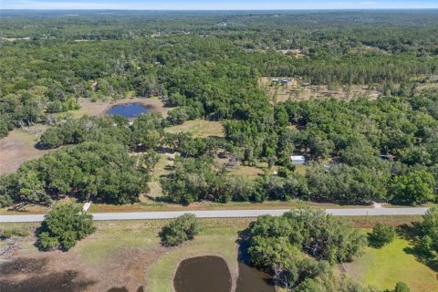 Terreno en venta en Brooksville, Florida № 1642204 - foto 11