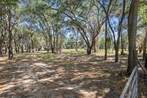 Terreno en venta en Brooksville, Florida № 1642204 - foto 5