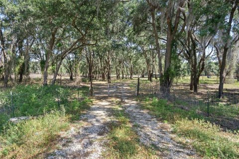 Terreno en venta en Brooksville, Florida № 1642204 - foto 3